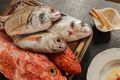 ristorante-toto-passami-lolio-www.guidamilazzo.com-021